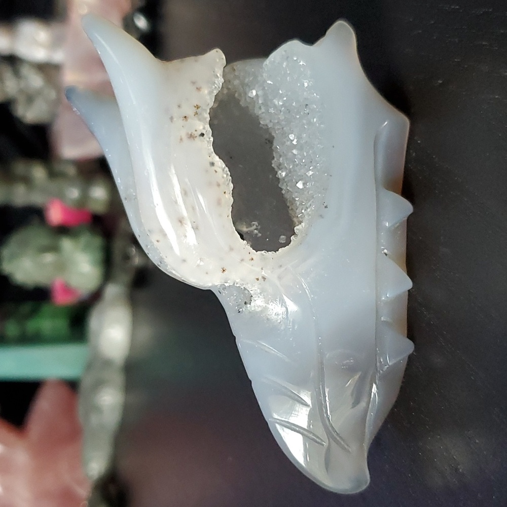 Dendritic blue agate dragon skull with druzy 🐲💀